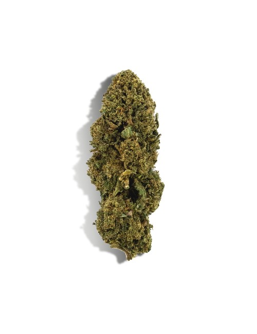 CBD-Blüten Einsteiger-Entdeckungsset