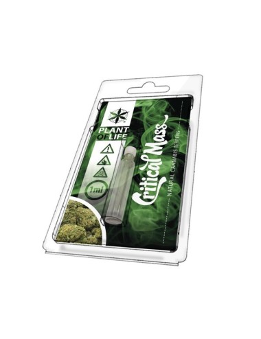 Terpen Critical Mass | PLANT OF LIFE