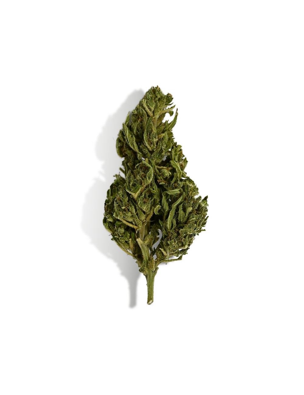 CBD-Blüte - EUPHORIA
