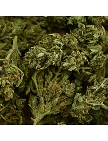 CBD-Blüte - EUPHORIA