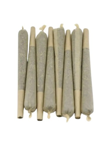 Infustick CBD AMNESIA HAZE - 50 Stück