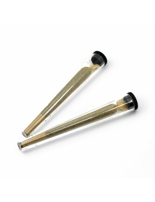 Kegel-Etui - 50er Set
