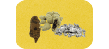 Cbd-moonrock
