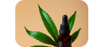Cbd-isolat Öl