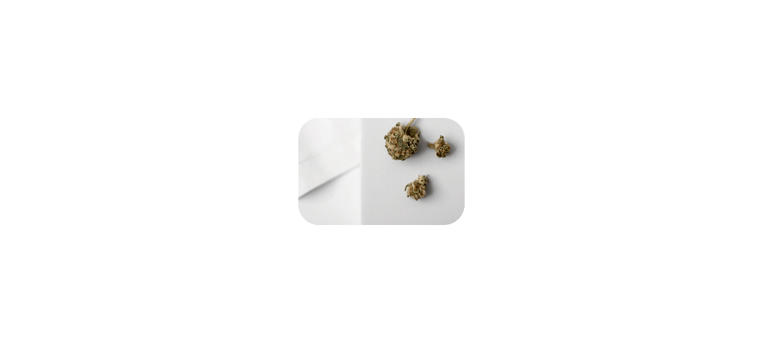 Cbd-kleinblüten