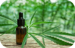 CBG-Öl: Die verborgene Kraft der „Mutter aller Cannabinoide“ – Ein vollständiger Leitfaden